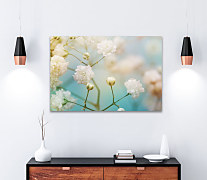 Obraz Púčiky kvetov 1707